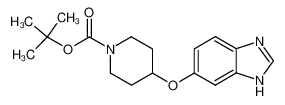 tert-butyl 4-((1H-benzo[d]imidazol-6-yl)oxy)piperidine-1-carboxylate CAS:287395-90-8 manufacturer & supplier