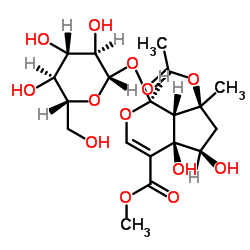 Phlorigidoside B CAS:288248-46-4 manufacturer & supplier