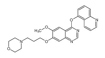 4-(3-((6-methoxy-4-(quinolin-5-yloxy)quinazolin-7-yl)oxy)propyl)morpholine CAS:288384-71-4 manufacturer & supplier