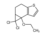 1,1-Dichloro-6b-ethoxy-1a,2,3,6b-tetrahydro-1H-4-thia-cyclopropa[e]indene CAS:28857-21-8 manufacturer & supplier