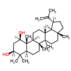 (1β,3β)-Lup-20(29)-ene-1,3-diol CAS:29028-10-2 manufacturer & supplier