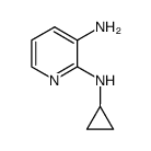 2-N-cyclopropylpyridine-2,3-diamine CAS:290313-23-4 manufacturer & supplier