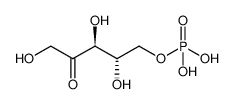 L-ribulose 5-phosphate CAS:2922-69-2 manufacturer & supplier