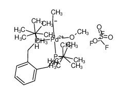 (Pd(1,2-(CH2P(t-Bu)2)2C6H4)Et(MeOH))(BF3SO3) CAS:292625-71-9 manufacturer & supplier