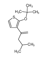 2-tert-butoxy-3-(1-isobutyl-vinyl)-thiophene CAS:29263-01-2 manufacturer & supplier