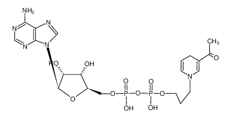 O5'-{2-[3-(3-acetyl-4H-pyridin-1-yl)-propoxy]-1,2-dihydroxy-diphosphoryl}-adenosine CAS:29486-86-0 manufacturer & supplier