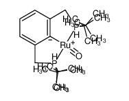 [(2,6-(CH2P(C(CH3)3)2)2C6H3)Ru(CO)H] CAS:297180-65-5 manufacturer & supplier