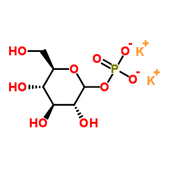 GLUCOSE-1-PHOSPHATE DIPOTASSIUM SALT CAS:29732-59-0 manufacturer & supplier