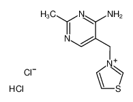 3-(4-amino-2-methyl-pyrimidin-5-ylmethyl)-thiazolium; chloride-hydrochloride CAS:29856-27-7 manufacturer & supplier