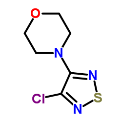 3-Chloro-4-morpholino-1,2,5-thiadiazole CAS:30165-96-9 manufacturer & supplier