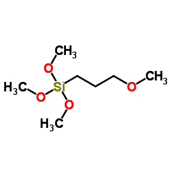 trimethoxy(3-methoxypropyl)silane CAS:33580-59-5 manufacturer & supplier