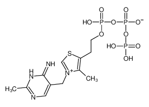 thiamine(1+) triphosphate CAS:3475-65-8 manufacturer & supplier