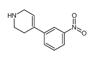 4-(3-Nitro-phenyl)-1,2,3,6-tetrahydro-pyridine CAS:387827-28-3 manufacturer & supplier