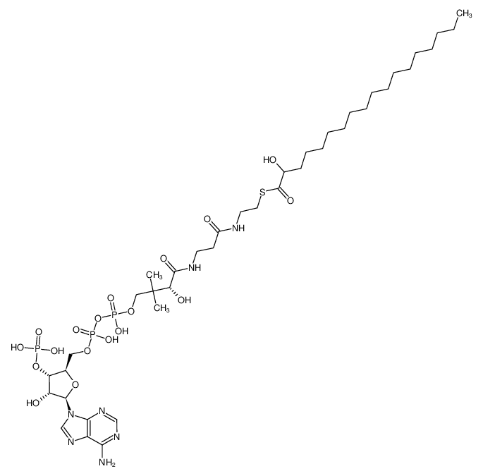 2-hydroxyoctadecanoyl-CoA CAS:38861-93-7 manufacturer & supplier