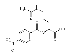 (2S)-5-(diaminomethylideneamino)-2-[(4-nitrobenzoyl)amino]pentanoic acid CAS:3908-12-1 manufacturer & supplier