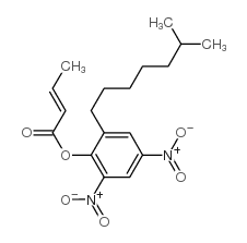 Dinocap CAS:39300-45-3 manufacturer & supplier