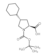 (2S,4S)-BOC-4-CYCLOHEXYL-PYRROLIDINE-2-CARBOXYLIC ACID CAS:394734-77-1 manufacturer & supplier