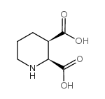 2,5-DIBROMOPIPERIDINE CAS:46026-75-9 manufacturer & supplier