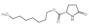 N-OCTYL L-2-PYRROLIDONE-5-CARBOXYLATE CAS:4931-70-8 manufacturer & supplier