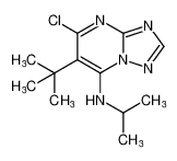 6-(tert-butyl)-5-chloro-N-isopropyl-[1,2,4]triazolo[1,5-a]pyrimidin-7-amine CAS:494214-96-9 manufacturer & supplier