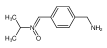 N-isopropyl-α-(4-aminomethyl-phenyl)nitrone CAS:494769-42-5 manufacturer & supplier