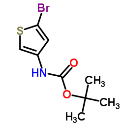 tert-butyl N-(5-bromothiophen-3-yl)carbamate CAS:494833-75-9 manufacturer & supplier