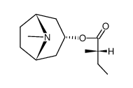 3endo-((S)-2-methyl-butyryloxy)-tropane CAS:495-82-9 manufacturer & supplier