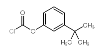 (3-tert-butylphenyl) carbonochloridate CAS:49561-88-8 manufacturer & supplier