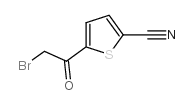 5-(2-Bromoacetyl)thiophene-2-carbonitrile CAS:496879-84-6 manufacturer & supplier