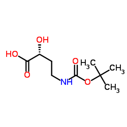 (2R)-2-hydroxy-4-[(2-methylpropan-2-yl)oxycarbonylamino]butanoic acid CAS:496918-28-6 manufacturer & supplier