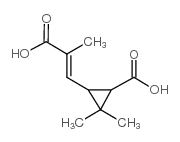 Chrysanthemumdicarboxylic acid CAS:497-95-0 manufacturer & supplier