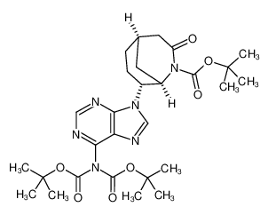 N6-di(tert-butoxycarbonyl)-9-[(1R,5R,8R)-3-oxo-2-tert-butoxycarbonyl-2-azabicyclo[3.3.1]nonan-8-yl]adenine CAS:497944-24-8 manufacturer & supplier