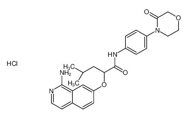 2-((1-aminoisoquinolin-7-yl)oxy)-4-methyl-N-(4-(3-oxomorpholino)phenyl)pentanamide hydrochloride CAS:498541-89-2 manufacturer & supplier