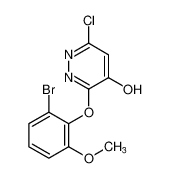 4-Pyridazinol, 3-(2-bromo-6-methoxyphenoxy)-6-chloro- CAS:499227-45-1 manufacturer & supplier