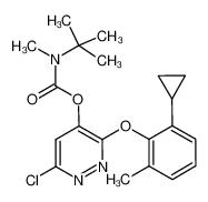 6-chloro-3-(2-cyclopropyl-6-methylphenoxy)-4-pyridazinyl tert-butyl(methyl)carbamate CAS:499234-18-3 manufacturer & supplier