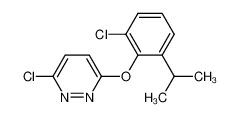 3-Chloro-6-(2-chloro-6-isopropylphenoxy)pyridazine CAS:499235-15-3 manufacturer & supplier