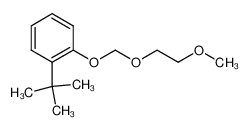 tert-Butyl-2-[(2-methoxyethoxy)methoxy]benzene CAS:499235-28-8 manufacturer & supplier