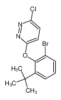 3-(2-Bromo-6-tert-butylphenoxy)-6-chloropyridazine CAS:499235-32-4 manufacturer & supplier