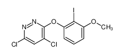 4,6-Dichloro-3-(2-iodo-3-methoxyphenoxy)pyridazine CAS:499236-14-5 manufacturer & supplier