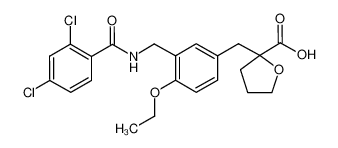 2-(3-{[(2,4-dichlorobenzoyl)amino]methyl}-4-ethoxybenzyl)-tetrahydro-2-furancarboxylic acid CAS:499788-16-8 manufacturer & supplier