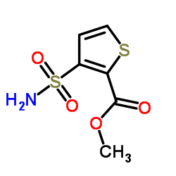 Methyl 3-aminosulfonylthiophene-2-carboxylate CAS:59337-93-8 manufacturer & supplier