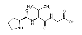 H-PRO-VAL-GLY-OH CAS:67341-70-2 manufacturer & supplier