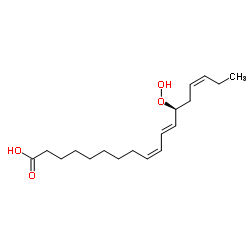 13(S)-HYDROPEROXY-(9Z,11E,15Z)-OCTADECATRIENOIC ACID CAS:67597-26-6 manufacturer & supplier