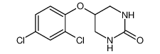 2(1H)-Pyrimidinone, 5-(2,4-dichlorophenoxy)tetrahydro- CAS:676167-43-4 manufacturer & supplier