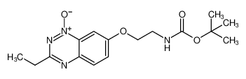 7-(2-((tert-butoxycarbonyl)amino)ethoxy)-3-ethylbenzo[e][1,2,4]triazine 1-oxide CAS:676351-50-1 manufacturer & supplier