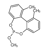 Dibenzo[d,f][1,3,2]dioxaphosphepin, 6-methoxy-1,11-dimethyl- CAS:676503-39-2 manufacturer & supplier