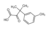 3-Methyl-2-oxo-3-m-tolyl-butyric acid CAS:676626-83-8 manufacturer & supplier