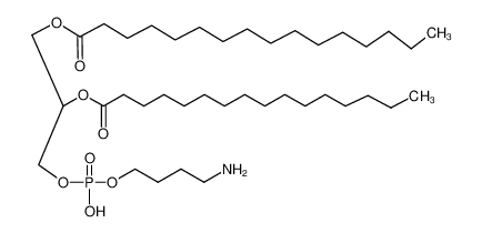 Dipalmitoylphosphatidyl-n-butanolamin CAS:67685-76-1 manufacturer & supplier