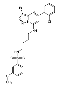 N-(4-((3-bromo-5-(2-chlorophenyl)pyrazolo[1,5-a]pyrimidin-7-yl)amino)butyl)-3-methoxybenzenesulfonamide CAS:677279-93-5 manufacturer & supplier