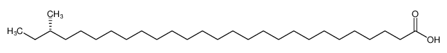 Heptacosanoic acid, 25-methyl-, (25S)- CAS:678969-53-4 manufacturer & supplier